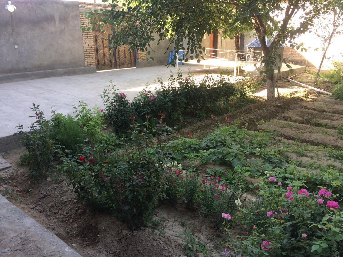 Salom Hostel Panjakent Kültér fotó